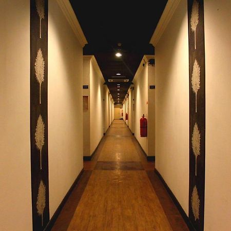 Switz Paradise Hotel - 5 Minute Walk To Centre Point And 10 Minute Walk To Waterfront- Κότα Κιναμπαλού Εξωτερικό φωτογραφία